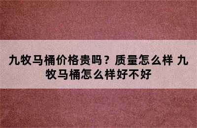 九牧马桶价格贵吗？质量怎么样 九牧马桶怎么样好不好